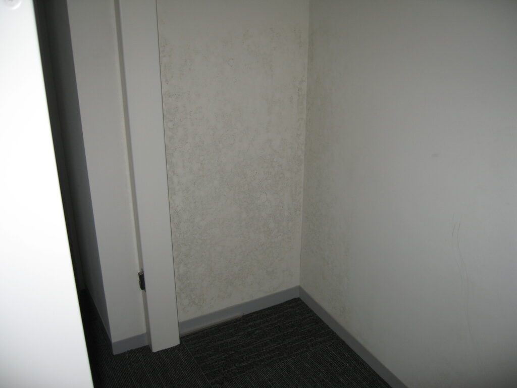 戸建て住宅の内壁のカビ汚れ清掃 before